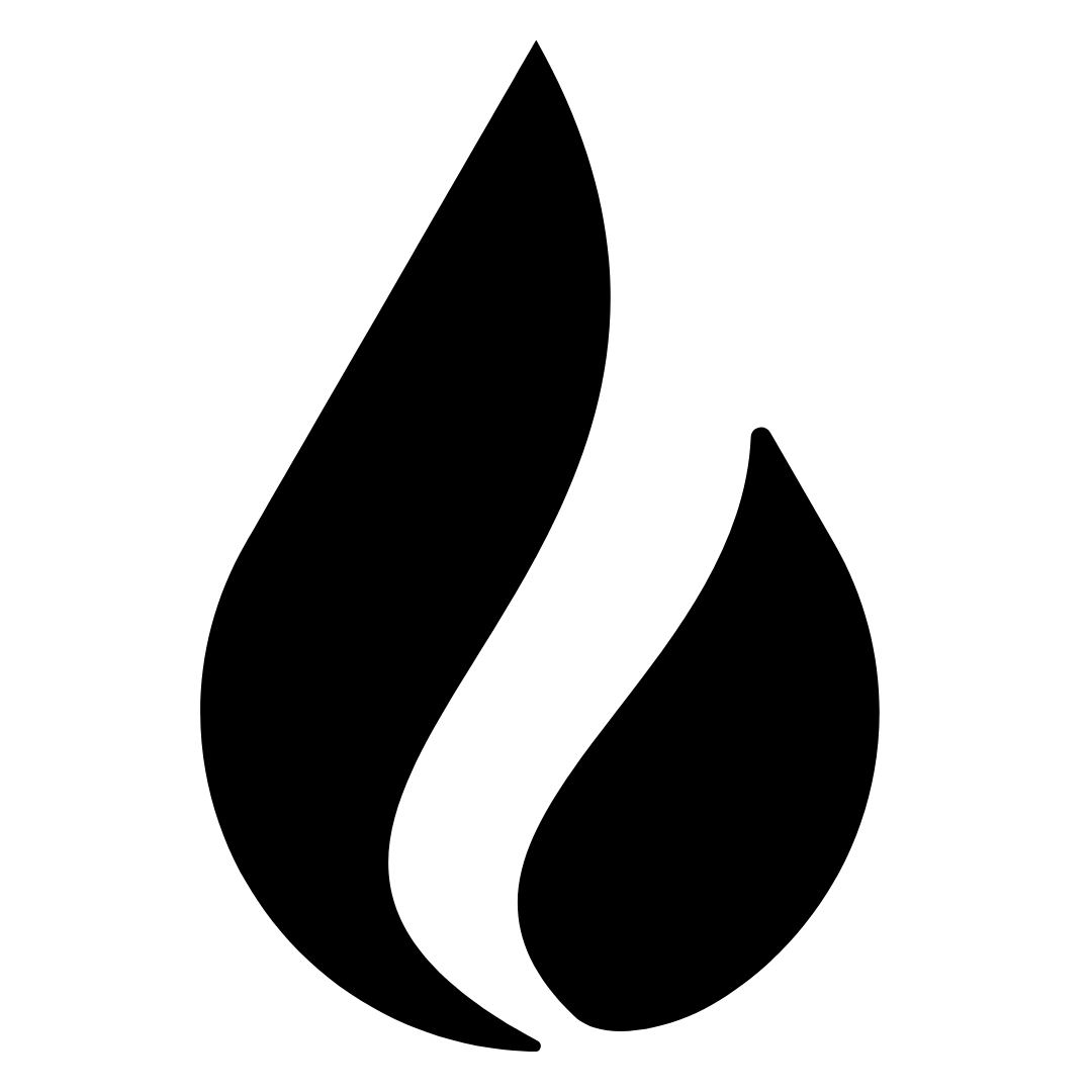 Shoe icon